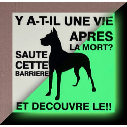 Panneau "Attention au Chien" Phosphorescent