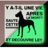 Panneau "Attention au Chien" Phosphorescent Panneau "Attention au Chien" Phosphorescent