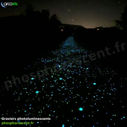 Fragments phosphorescent