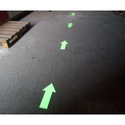 Fleches photoluminescentes en Aluminium 30cm