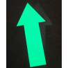 Fleches photoluminescentes en Aluminium 30cm Fleches photoluminescentes en Aluminium 30cm